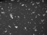 Thumbnail for Primary_007 [Well A01 Field #1]