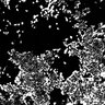 Thumbnail for GUF0000023 [20200313_CoV-2_P23 Well E2 Field #4]