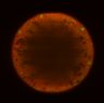 Thumbnail for fkh_sample1_Raw_Images.tif