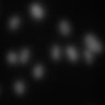 Thumbnail for Dataset1.companion.ome [001]