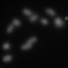 Thumbnail for Dataset1.companion.ome [002]