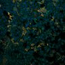 Thumbnail for 1093713839 [Well B2, Field 1]