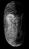 Thumbnail for B2-Strobl2014A-DS0003TP(TS)DR0001CH0001PL(ZM).TIF