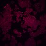 Thumbnail for PI3KCA_mt-/wt+_LOPAC_Plate_2_Replicate_1 [Well A-3, Field #1]