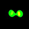 Thumbnail for cell0004_R0012_T0032
