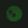 Thumbnail for Embryo8.pattern