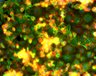 Thumbnail for 001B30_S2R [Well E02 Field #1]