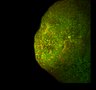 Thumbnail for SPM00_TM000512_CM00_CM01_CHN01_xyProjection.klb