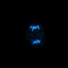 Thumbnail for cell0011_R0001.companion.ome